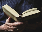 Novels are not, in fact, dying: bookstores flog ever-changing stacks of new ones.(Pixabay) Novels are not, in fact, dying: bookstores flog ever-changing stacks of new ones.(Pixabay)