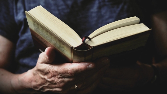 Novels are not, in fact, dying: bookstores flog ever-changing stacks of new ones.(Pixabay) Novels are not, in fact, dying: bookstores flog ever-changing stacks of new ones.(Pixabay)