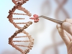 Lenacapavir, already approved for use in the United States, costs around $42,250 for the first year of therapy. (Representative image)(Shutterstock) Lenacapavir, already approved for use in the United States, costs around $42,250 for the first year of therapy. (Representative image)(Shutterstock)