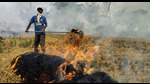 A farmer burns straw stubble after harvest, at a field on the outskirts of Amritsar on Thursday. (PTI) A farmer burns straw stubble after harvest, at a field on the outskirts of Amritsar on Thursday. (PTI)