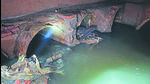 The drain was found under Sri Aurobindo Marg. (HT PHOTO) The drain was found under Sri Aurobindo Marg. (HT PHOTO)