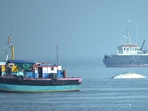 14 people died in the tragic ferry boat accident off the coast of Mumbai (Bhushan Koyande/HT Photo) 14 people died in the tragic ferry boat accident off the coast of Mumbai (Bhushan Koyande/HT Photo)