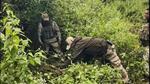 A search operation and area domination in Manipur (PTI/Representative photo) A search operation and area domination in Manipur (PTI/Representative photo)