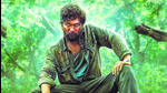 Allu Arjun in Pushpa 2. Armed with a chip on his shoulder and delusions of victimhood, the risen underdog rages his way through the extended runtime of 200 minutes. Allu Arjun in Pushpa 2. Armed with a chip on his shoulder and delusions of victimhood, the risen underdog rages his way through the extended runtime of 200 minutes.