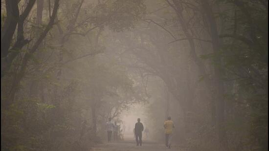 A thick layer of smog envelops Aarey Colony on Sunday. (Satish Bate/ Hindustan Times) A thick layer of smog envelops Aarey Colony on Sunday. (Satish Bate/ Hindustan Times)