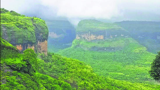 The Western Ghats Eco-Sensitive Areas occupies an area of approximately 60,285.61 km2. (HT File Photo) The Western Ghats Eco-Sensitive Areas occupies an area of approximately 60,285.61 km2. (HT File Photo)