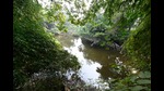 NGT was hearing a petition raising concerns over the proposed felling of trees in the Kukrail reserve forest for the night safari project and shifting of the Lucknow zoo there. The order was passed on December 24. (HT File Photo) NGT was hearing a petition raising concerns over the proposed felling of trees in the Kukrail reserve forest for the night safari project and shifting of the Lucknow zoo there. The order was passed on December 24. (HT File Photo)