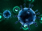 The situation has sparked fears of a potential pandemic five years after COVID-19 disrupted global life. (Pic used for representation) The situation has sparked fears of a potential pandemic five years after COVID-19 disrupted global life. (Pic used for representation)