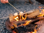 Live-fire cooking and concept-based pop-ups will captivate the diners Live-fire cooking and concept-based pop-ups will captivate the diners