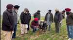 Officials of agriculture dept inspect a field at Kokri Kalan village in Moga on Friday (HT Photo) Officials of agriculture dept inspect a field at Kokri Kalan village in Moga on Friday (HT Photo)