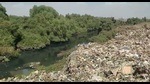 Restore 4 Bhiwandi wetlands turned into dumps: Green tribunal to Thane collector Restore 4 Bhiwandi wetlands turned into dumps: Green tribunal to Thane collector