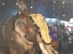 The terrifying incident took place at the Puthiyangadi temple festival at Tirur, Kerala. (X/@ANI) The terrifying incident took place at the Puthiyangadi temple festival at Tirur, Kerala. (X/@ANI)
