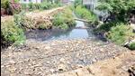 Khardekar criticized the administration for its inaction. (REPRESENTATIVE PHOTO) Khardekar criticized the administration for its inaction. (REPRESENTATIVE PHOTO)