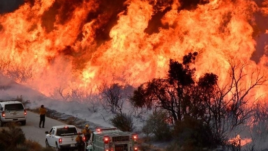 About 20 miles (32 km) west of downtown Los Angeles, the neighbourhood that surrounds Malibu consists of narrow lanes that snake down to beaches along the Pacific Ocean and hillside neighbourhoods with densely populated homes tucked away against the Santa Monica Mountains.(Reuters Photo)