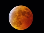 Read about the lucky zodiac sign with the Lunar nodes shifting on January 11, 2025(Pixabay) Read about the lucky zodiac sign with the Lunar nodes shifting on January 11, 2025(Pixabay)