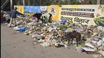 The Jalandhar MC had started a cleanliness drive. But nearly a month on, garbage can again be seen strewn on the roadsides and other open spaces in the city. (HT File) The Jalandhar MC had started a cleanliness drive. But nearly a month on, garbage can again be seen strewn on the roadsides and other open spaces in the city. (HT File)