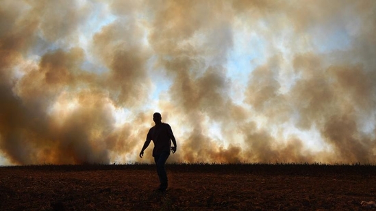 Temperatures passed 50 degrees Celsius (122 Fahrenheit) in northern India as an unrelenting heatwave triggered warnings of water shortages and heatstroke. 2024 is confirmed by the Copernicus Climate Change Service (C3S) to be the warmest year on record globally, and the first calendar year that the average global temperature exceeded 1.5°C above its pre-industrial level. (AFP)(HT_PRINT) Temperatures passed 50 degrees Celsius (122 Fahrenheit) in northern India as an unrelenting heatwave triggered warnings of water shortages and heatstroke. 2024 is confirmed by the Copernicus Climate Change Service (C3S) to be the warmest year on record globally, and the first calendar year that the average global temperature exceeded 1.5°C above its pre-industrial level. (AFP)(HT_PRINT)