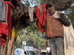 The peepal tree outside the Kamala Market complex in central Delhi is distinguished for its massive bulk. (HT Photo) The peepal tree outside the Kamala Market complex in central Delhi is distinguished for its massive bulk. (HT Photo)