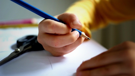 Assessment (Photo credits: Pixabay) Assessment (Photo credits: Pixabay)
