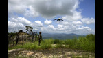 The army troops picked up the movement of the drone around 1 am and fired nearly a dozen rounds. (AP/photo for representation only) The army troops picked up the movement of the drone around 1 am and fired nearly a dozen rounds. (AP/photo for representation only)