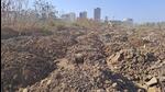As per the inspection report submitted by the officers and the land records, the plots where the debris was dumped were owned by Estate Investment Company Private Limited and Mira Real Estate Developers. The indiscriminate dumping had impacted 50 sq-mt of mangrove’s buffer adversely, as 10,000 to 12,000 kg of debris had been dumped in cement bags. (Azim Tamboli/HT) As per the inspection report submitted by the officers and the land records, the plots where the debris was dumped were owned by Estate Investment Company Private Limited and Mira Real Estate Developers. The indiscriminate dumping had impacted 50 sq-mt of mangrove’s buffer adversely, as 10,000 to 12,000 kg of debris had been dumped in cement bags. (Azim Tamboli/HT)