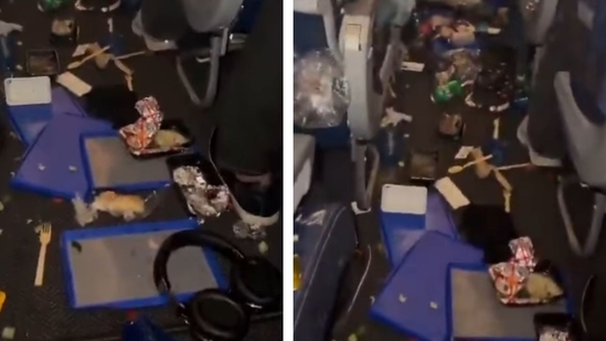 There were 245 passengers and eight flight attendants in the aircraft. (Instagram/@Aviation) There were 245 passengers and eight flight attendants in the aircraft. (Instagram/@Aviation)