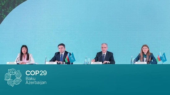 The platform is aimed at promoting mutual trust and confidence in climate action. (COP29 website) The platform is aimed at promoting mutual trust and confidence in climate action. (COP29 website)