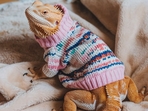 Fun_DIY_Bearded_Dragon_Clothes_Projects Fun_DIY_Bearded_Dragon_Clothes_Projects