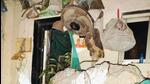 Pillar collapses on chawl during part-demolition of Juhu school, one critical Pillar collapses on chawl during part-demolition of Juhu school, one critical