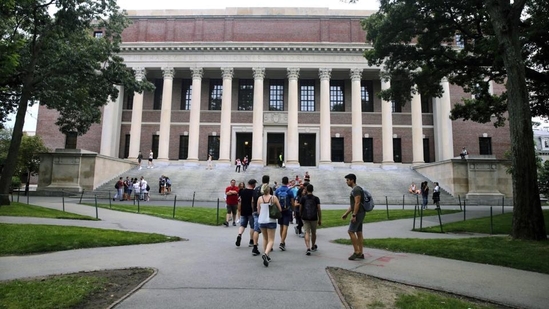 Many students search tirelessly for answers from trusted sources so that they can apply to the universities of their choice and fulfill their dream of studying abroad.(AP photo) Many students search tirelessly for answers from trusted sources so that they can apply to the universities of their choice and fulfill their dream of studying abroad.(AP photo)
