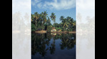 Kochi has a tradition dating back 2,000 years of communities living in harmony. (SHUTTERSTOCK) Kochi has a tradition dating back 2,000 years of communities living in harmony. (SHUTTERSTOCK)
