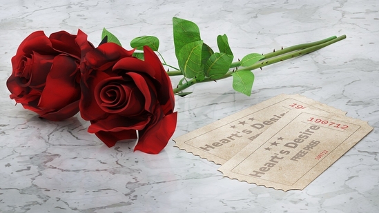 Red rose: The colour red symbolises love and passion. A red rose is commonly used to express love and make heartfelt promises. (Pixabay)