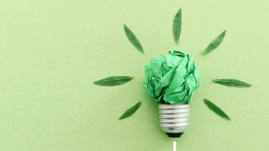 Sustainability. (REPRESENTATIVE PHOTO) Sustainability. (REPRESENTATIVE PHOTO)