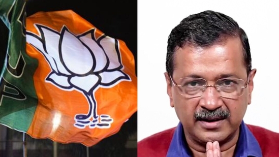 The BJP made its way back to Delhi after 27 years, ousting the AAP from power in the capital. (PTI/ANI) The BJP made its way back to Delhi after 27 years, ousting the AAP from power in the capital. (PTI/ANI)