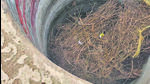 The well in Nuh, Haryana from where the stolen machine was recovered. (HT photo) The well in Nuh, Haryana from where the stolen machine was recovered. (HT photo)