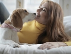 Dogs are great judge of characters, looking out for their dog parents. (Pexels) Dogs are great judge of characters, looking out for their dog parents. (Pexels)