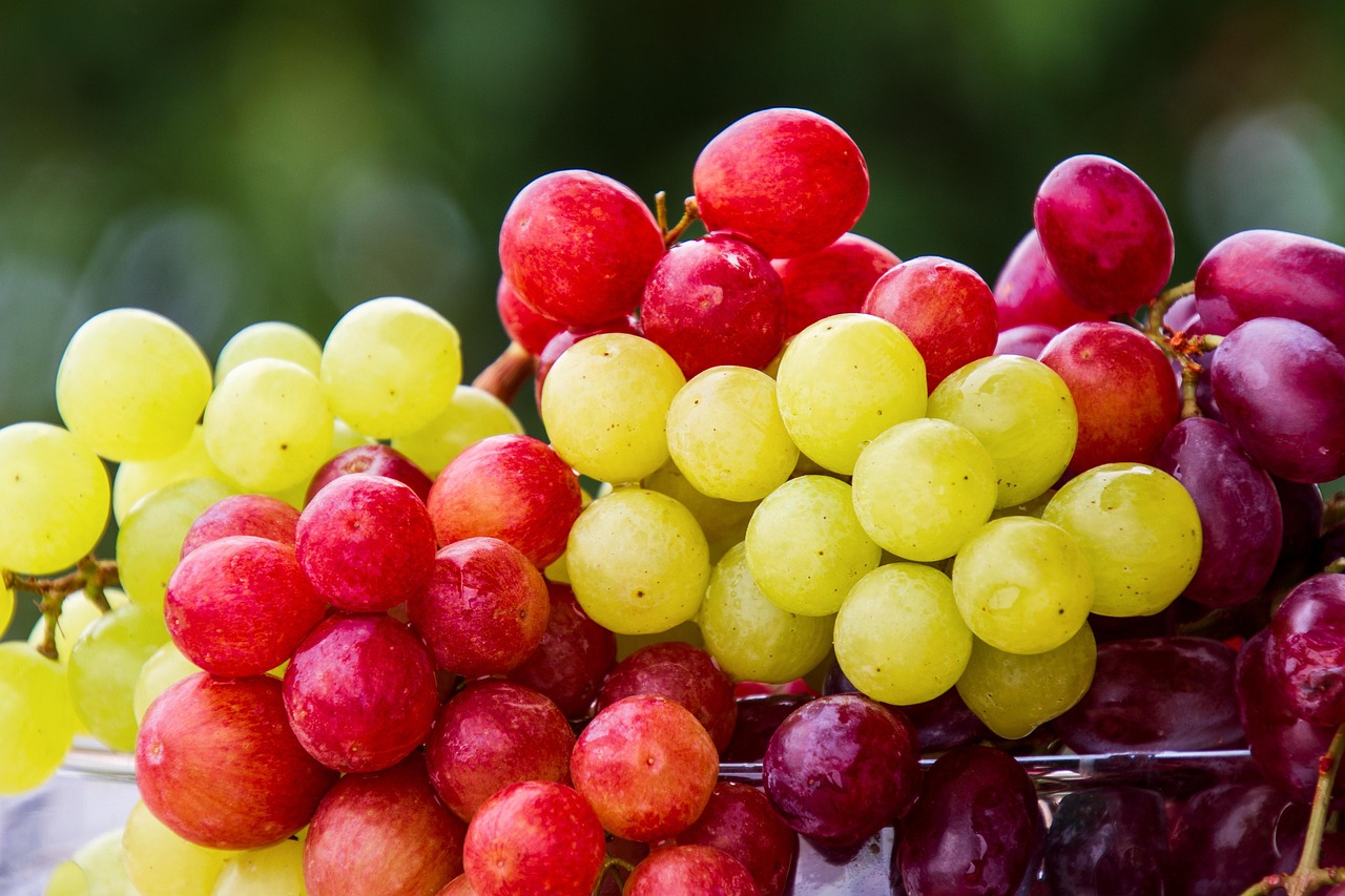 Daily grape intake could enhance muscle health for aging women.(Pixabay) Daily grape intake could enhance muscle health for aging women.(Pixabay)