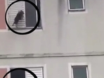 The incident took place in Brazil.(X/@Crazyclips) The incident took place in Brazil.(X/@Crazyclips)