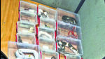 The seized animals include five corn snakes, eight milk snakes, nine ball pythons, four bearded dragon lizards, 19 geckos including seven crested and 11 cameroon dwarf geckos, 14 millipedes and a spider species. (HT Photo) The seized animals include five corn snakes, eight milk snakes, nine ball pythons, four bearded dragon lizards, 19 geckos including seven crested and 11 cameroon dwarf geckos, 14 millipedes and a spider species. (HT Photo)