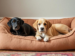Cozy, soft, and stylish puppy beds for ultimate comfort and rest. Cozy, soft, and stylish puppy beds for ultimate comfort and rest.