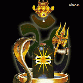 45. Happy Maha Shivratri 2025. (Pinterest) 45. Happy Maha Shivratri 2025. (Pinterest)