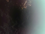 Blue Ghost's first moon image was shared on the official X handle of Firefly Aerospace.(X) Blue Ghost's first moon image was shared on the official X handle of Firefly Aerospace.(X)
