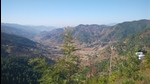As per the affidavit submitted to the NGT by the forest department, in view of the GR and circulars issued by the state government. (HT PHOTO) As per the affidavit submitted to the NGT by the forest department, in view of the GR and circulars issued by the state government. (HT PHOTO)