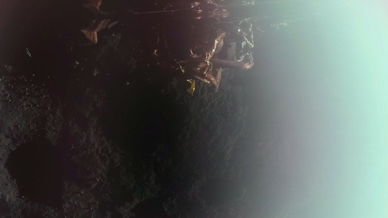 Blue Ghost's first moon image was shared on the official X handle of Firefly Aerospace.(X) Blue Ghost's first moon image was shared on the official X handle of Firefly Aerospace.(X)