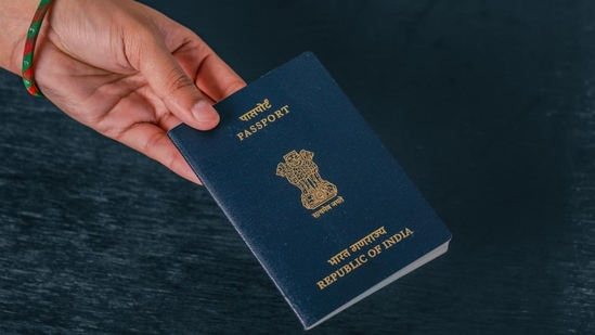 The new rules have been notified in The Gazette of India.(HT) The new rules have been notified in The Gazette of India.(HT)