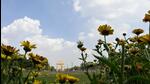 Delhi’s minimum temperature was 1.6°C below normal as compared to 15.6°C recorded on Tuesday. (ANI photo) Delhi’s minimum temperature was 1.6°C below normal as compared to 15.6°C recorded on Tuesday. (ANI photo)