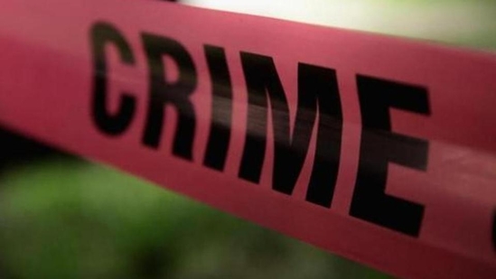 Crime (Representational image) Crime (Representational image)