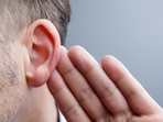 The cells that form human ear cartilage and fish gill cartilage showed very similar patterns of gene activity, despite coming from entirely different animals. (Getty Images/iStockphoto) The cells that form human ear cartilage and fish gill cartilage showed very similar patterns of gene activity, despite coming from entirely different animals. (Getty Images/iStockphoto)