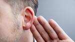 The cells that form human ear cartilage and fish gill cartilage showed very similar patterns of gene activity, despite coming from entirely different animals. (Getty Images/iStockphoto) The cells that form human ear cartilage and fish gill cartilage showed very similar patterns of gene activity, despite coming from entirely different animals. (Getty Images/iStockphoto)