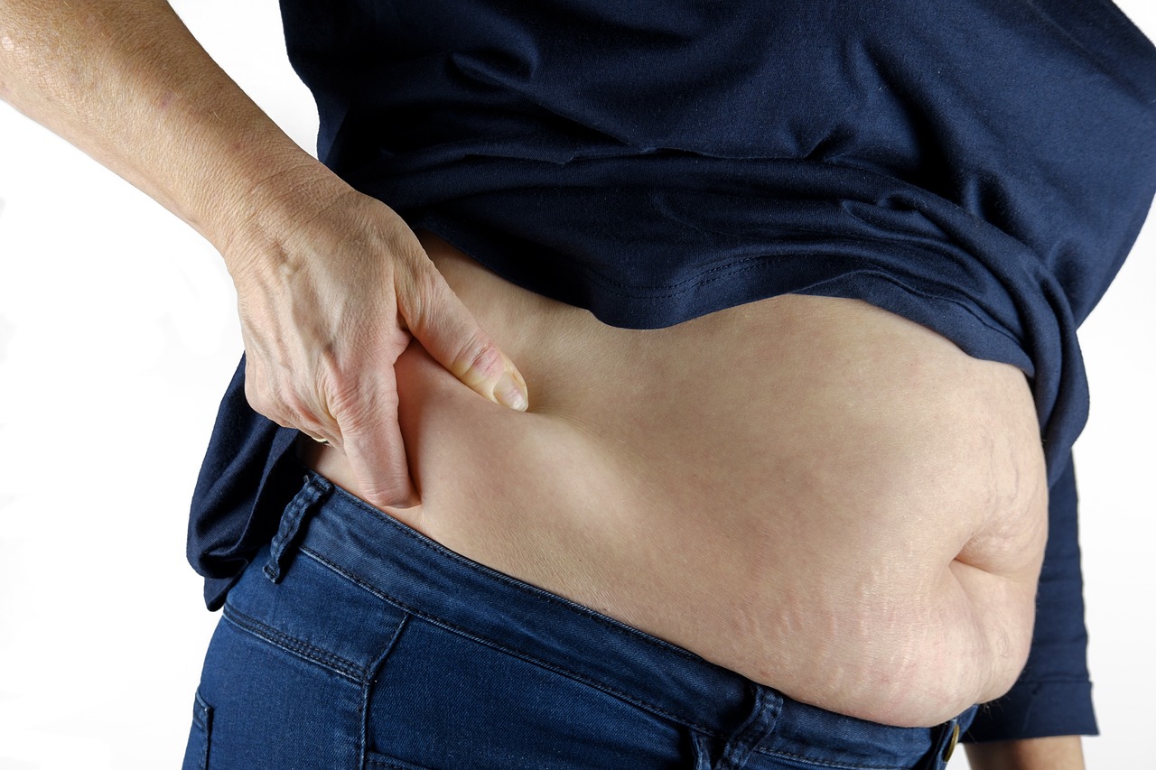 Research on 572 participants reveals visceral fat area impacts inflammation and insulin resistance. (Pixabay) Research on 572 participants reveals visceral fat area impacts inflammation and insulin resistance. (Pixabay)